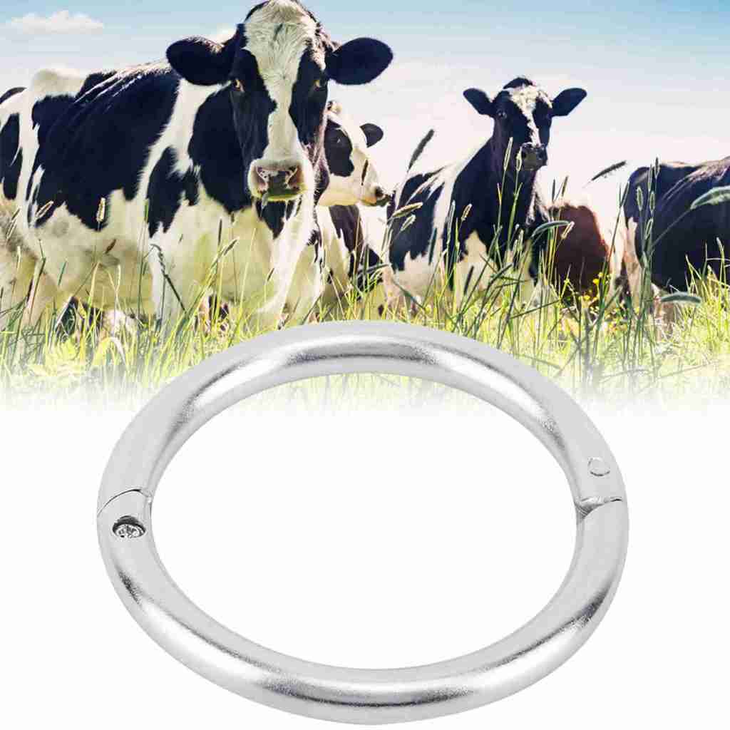 Stainless Steel Cattle Nose Ring Cattle Nose Traction Rings For Cattle