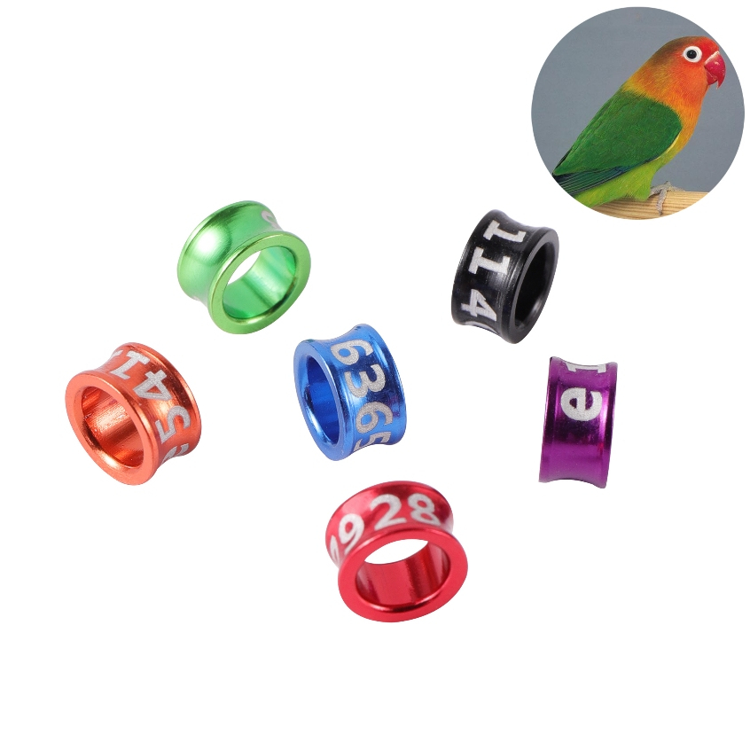 5/15Pcs 4/4.7/5/6/7mm Bird Foot Ring with Word Bird Aluminum Ring ...