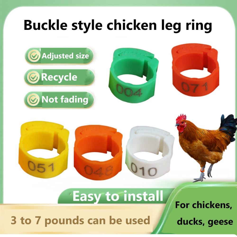 20/50 Pcs Adjustable Chicken Brand Leg Ring Poultry Foot Ring Inner ...
