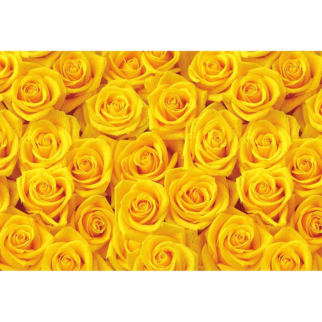 5x3ft Yellow Rose Backdrop for Photography Yellow Floral Flowers ...