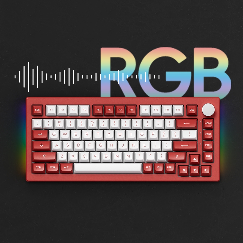 Akko Chicago 5075B Plus Wireless RGB Mechanical Keyboard wiht hot ...
