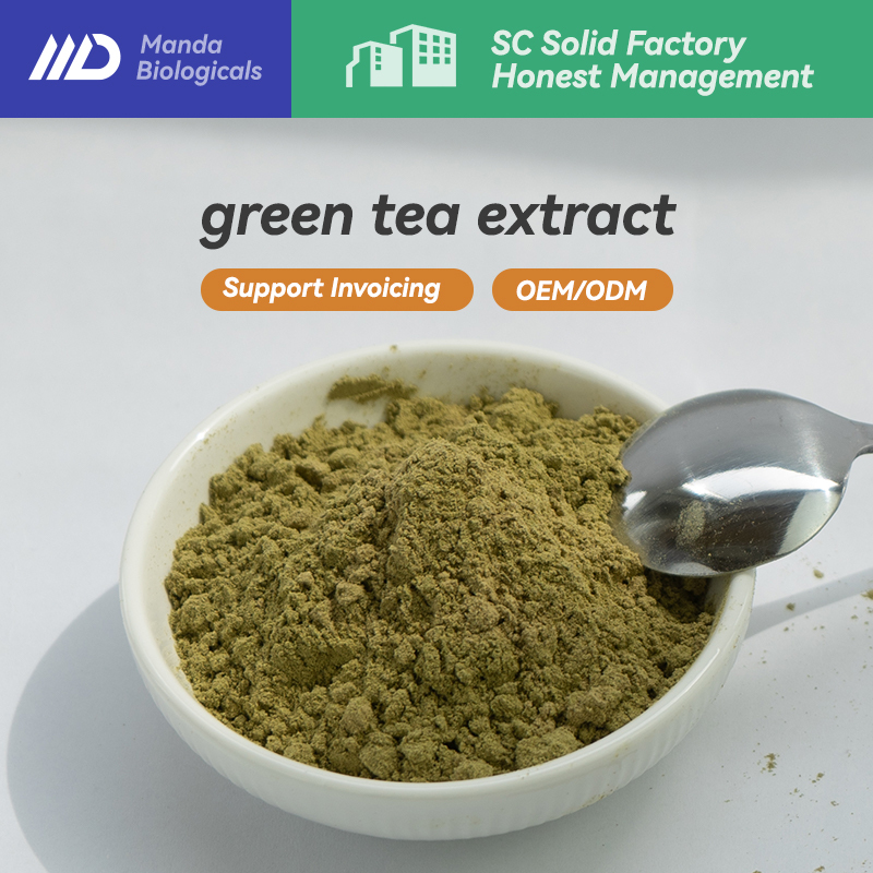 Bulk Wholesale Green Tea Extract Powder 10:1 Food Grade Water Soluble ...