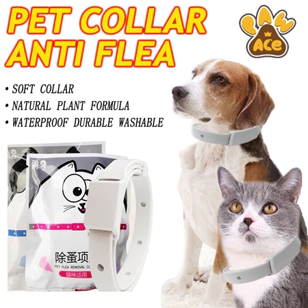 Pet Insect Repellent Essential Oil Collar Anti-tick Flea Collar ...