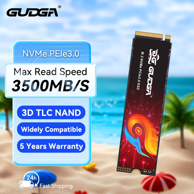 GUDGA SSD M.2 NVME 2280 128g 256gb 512GB 1TB Solid Hard Drive Internal ...