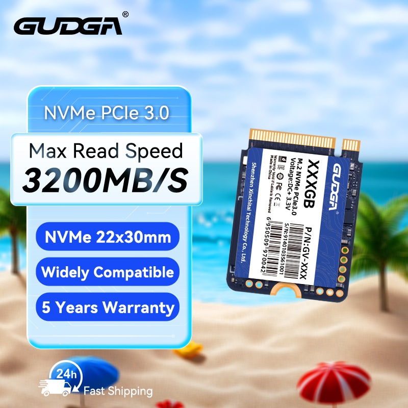GUDGA M.2 SSD 2230 NVMe 1TB 512GB PCIe Gen 3x4 Ssd for Steam Deck ...