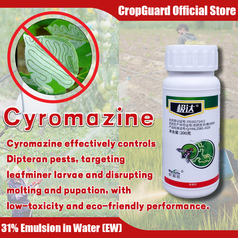 cyromazine insecticide 100ml leaf miner insecticide Specially for leaf ...
