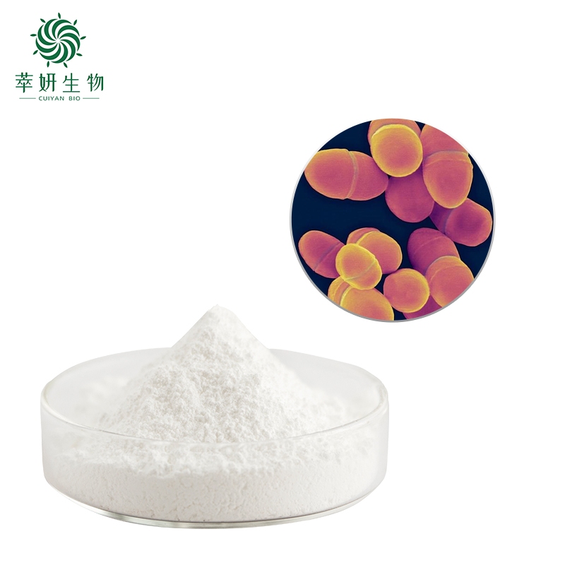 Highly active Lactococcus lactis probiotic powder 10-200 billion CFU/g ...