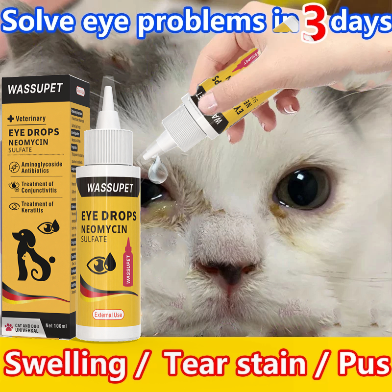 WASSUPET Pet Gentamicin Sulfate Eye Drops For Dogs & Cats Eye Infection ...