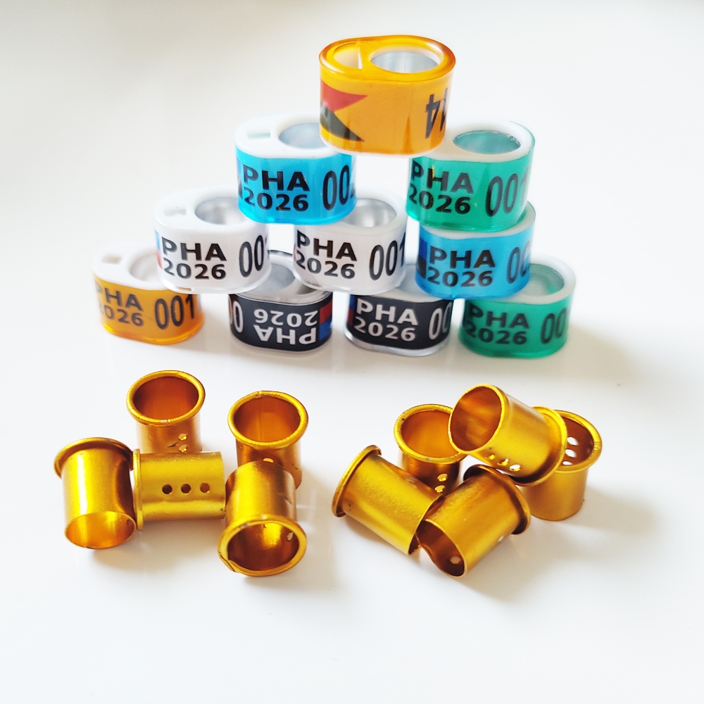 10 /20 Sets 2026 PHA Oval Pigeon Ring with Gold Inner Ring Set Singsing ...