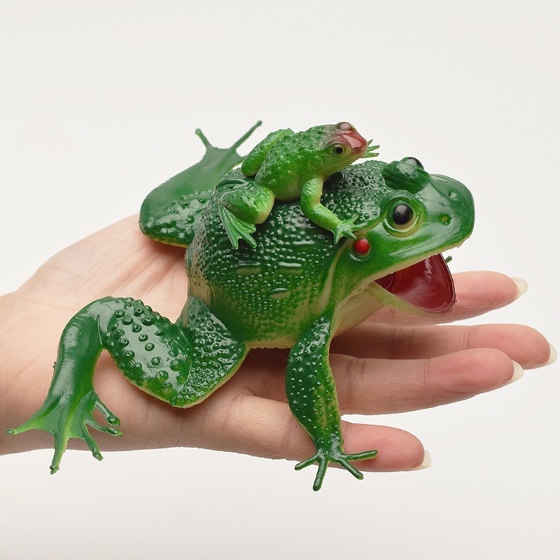 Simulation sounding realistic frog model sound mother and child Animal ...