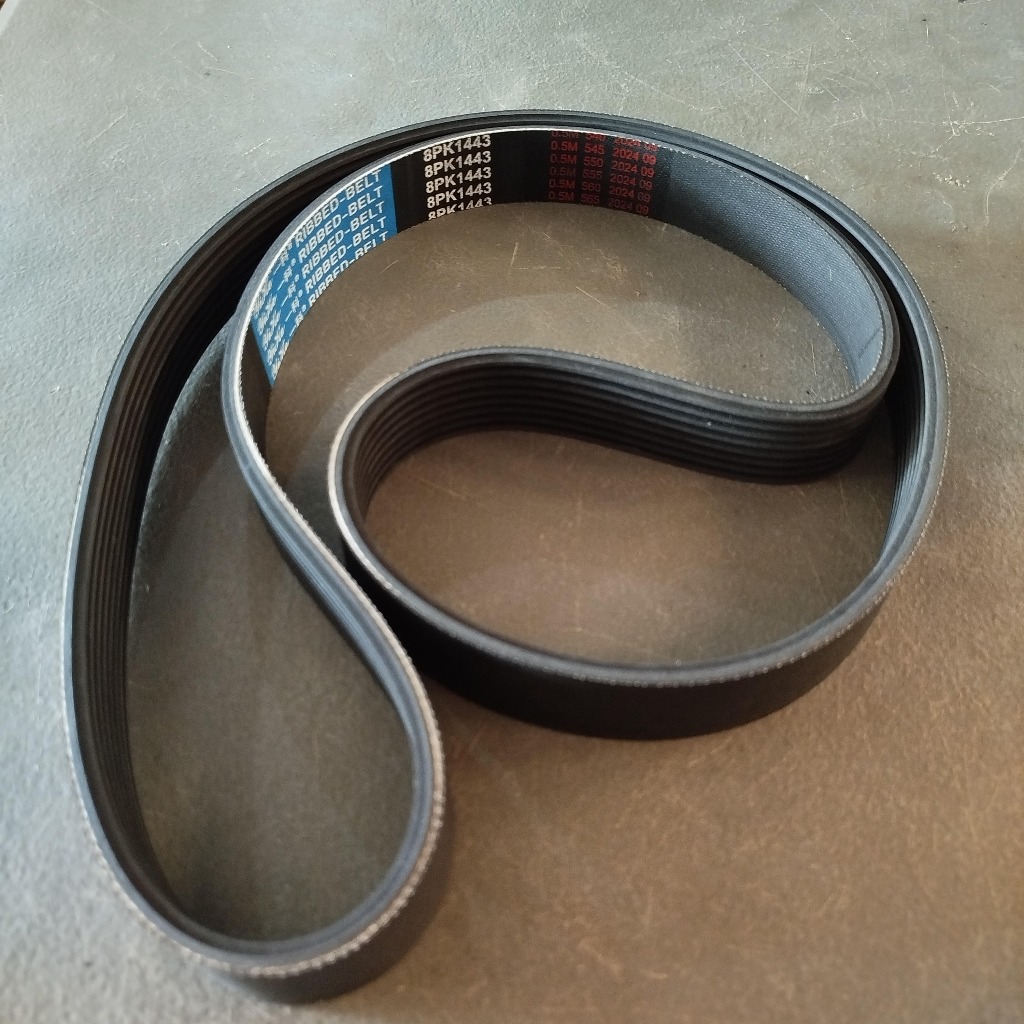 8PK1443 RIBBET BELT Pk Belt | Shopee Philippines