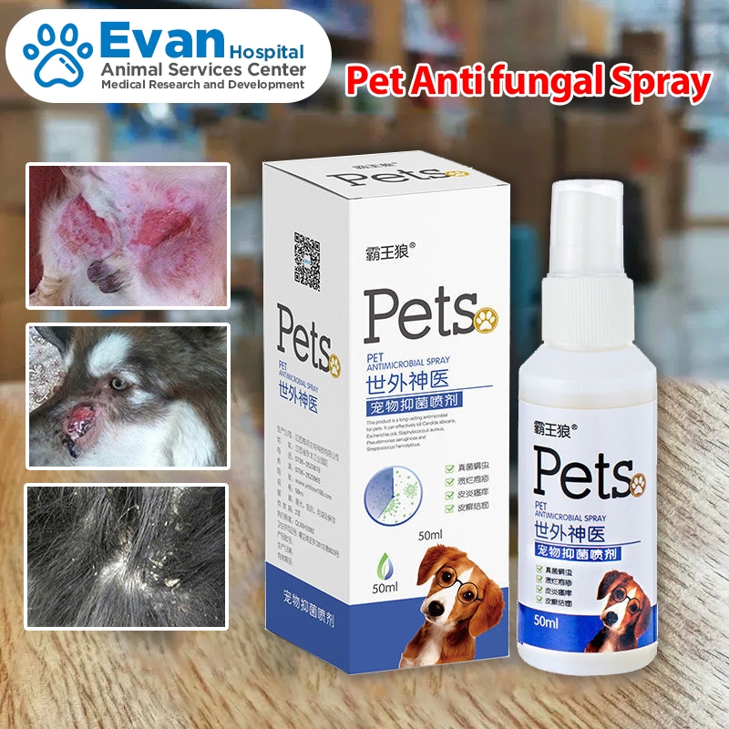 Pet Anti fungal Spray 50ml Dog Skin Disease Treatment Dog Allergies ... - Canine Flea Allergy Medication