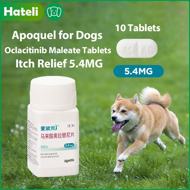 5.4mg Apoquel for Dogs Per 10 Tablets Treatment for Allergic Itch