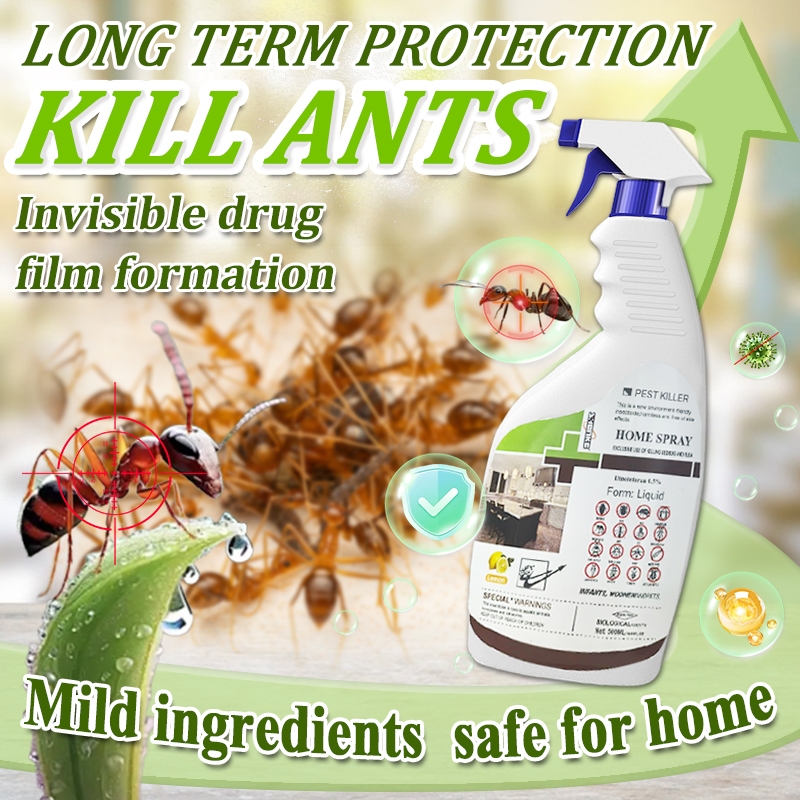 Ant Professional Killer XXM Ant spray killer Insecticidal spray Insect ...