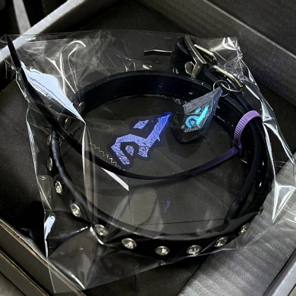 Valorant Arcane Wild Rune Collar Fierce Gaming Necklace Inspired ...