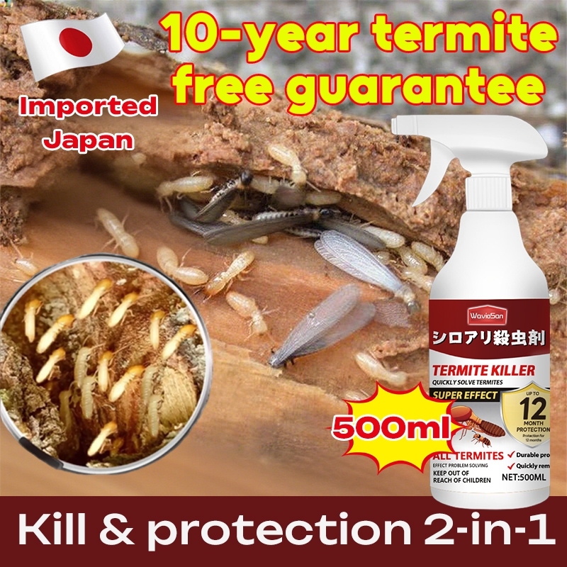 Termites never come back！！DPP Termite killer spray Termite killer Anay ...