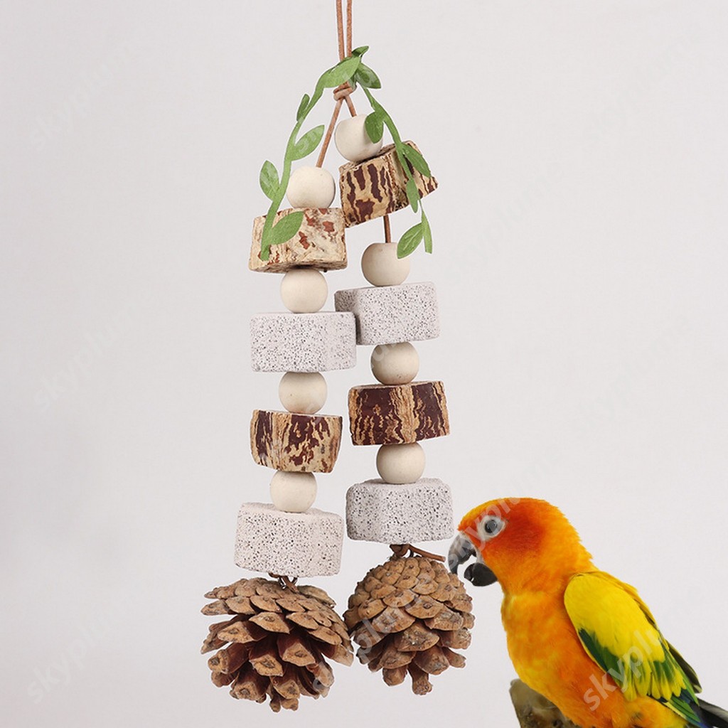 Bird Parrot Toys Natural Nuts Calcium Stone Lava Blocks Chewing Toy ...