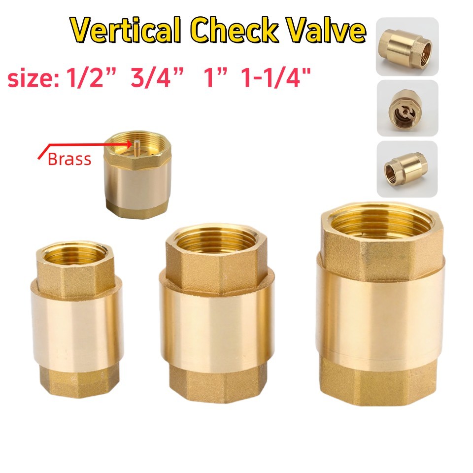 Brass Check Valve Heavy Duty Thread Spring Vertical Pump Valves Sizes ...
