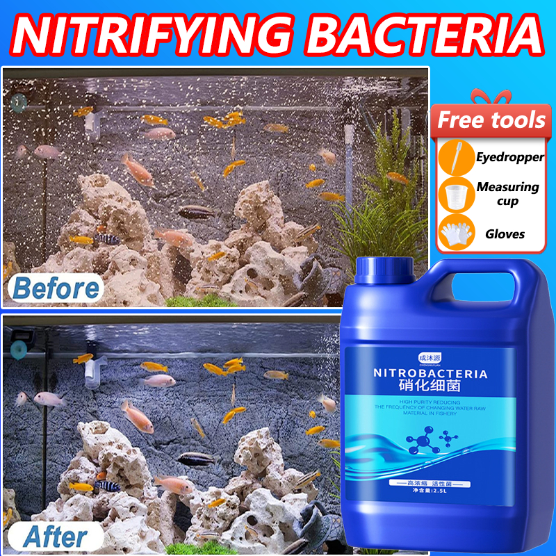 Nitrifying Bacterium for Aquarium 2.5L Liquid Bio Filter Bacteria for ...