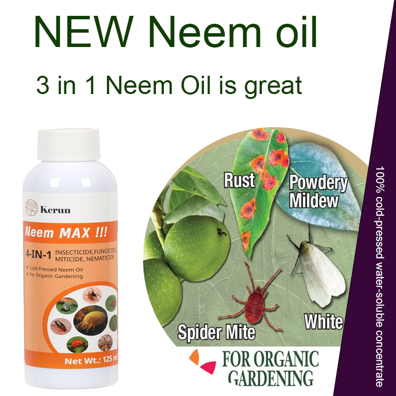 Organic neem oil is a natural insecticide that can kill hundreds ...