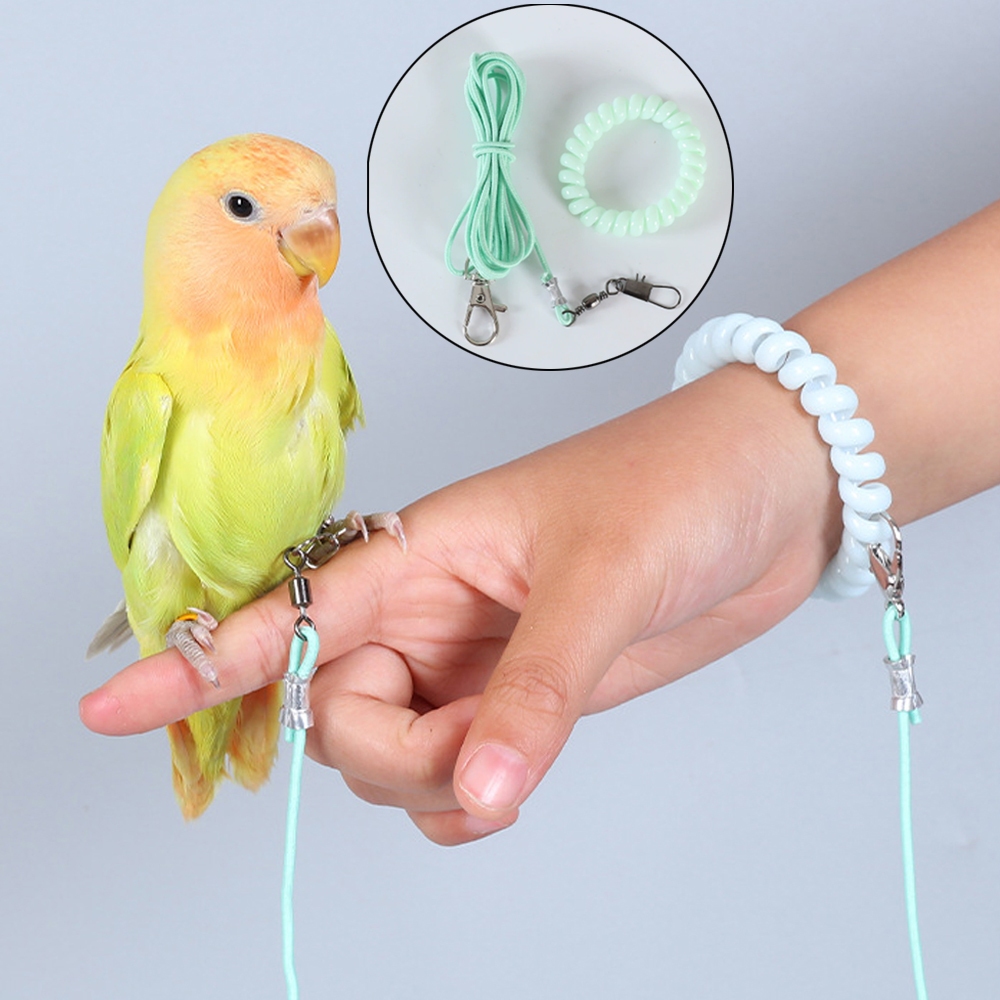 Birds Flying Rope training ring 2m/3m Parrot pigeon budgie Light Flying ...