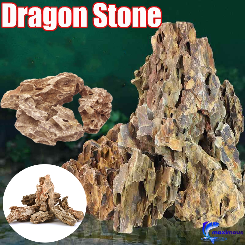 Dragon Stone Rock Aquascaping Stone Clay-based Rock for Aquascaping ...