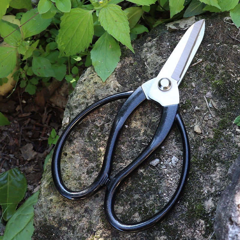 Florist scissors, pruning shears, ribbon/card/paper/flower cutting ...