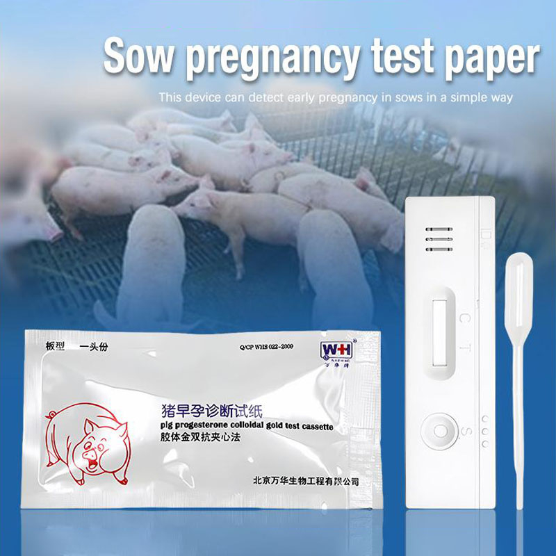 Pig Pregnancy Test Kit Sow Pig Pregnancy Test Paper Diagnostic Pig ...