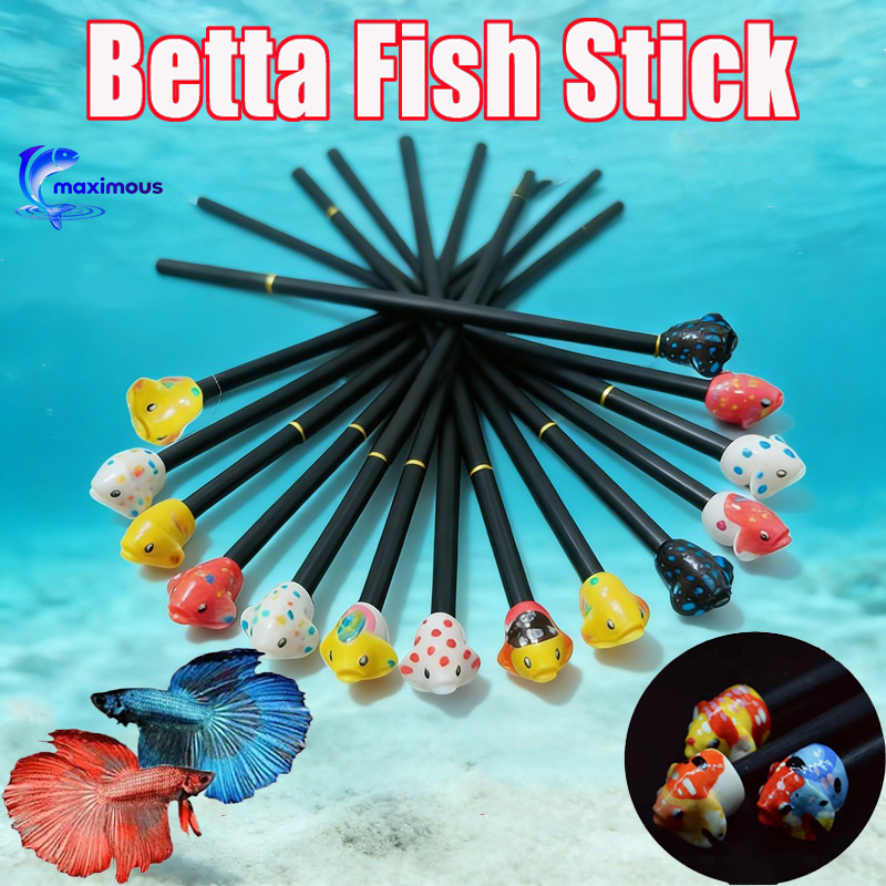 Wooden Betta Fish Training Stick Interactive Flaring Toy Playing Stick ...
