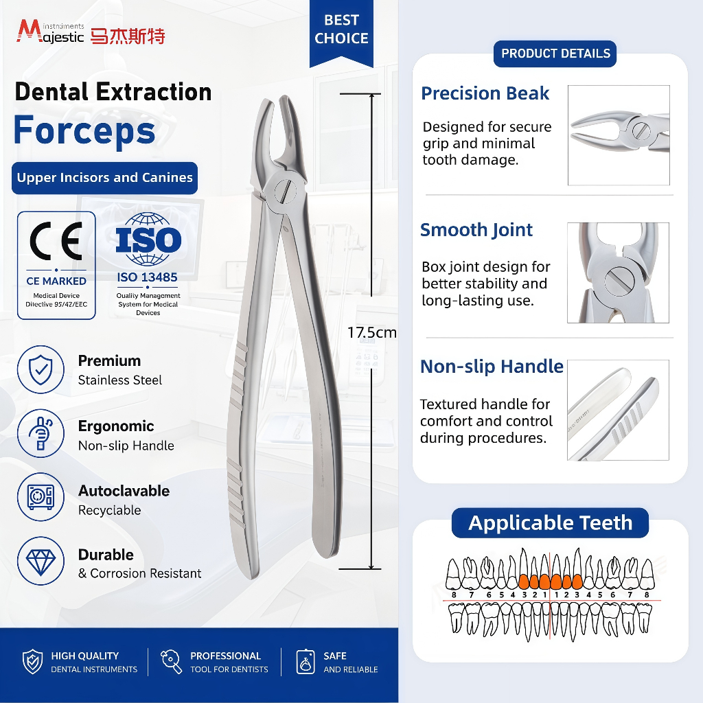 Majestic Adult Extracting Forceps English Pattern CE&ISO Premium Dental ...