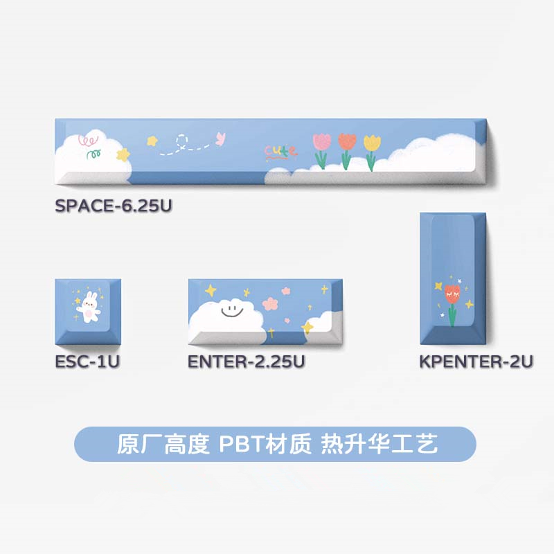 Cherry profile dye sub PBT Space bar ESC key ENTER key TAB single ...