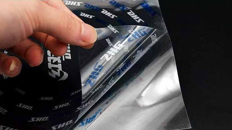 DHS Table Tennis Protective Film Protector Sticky Adhesive Original DHS ...