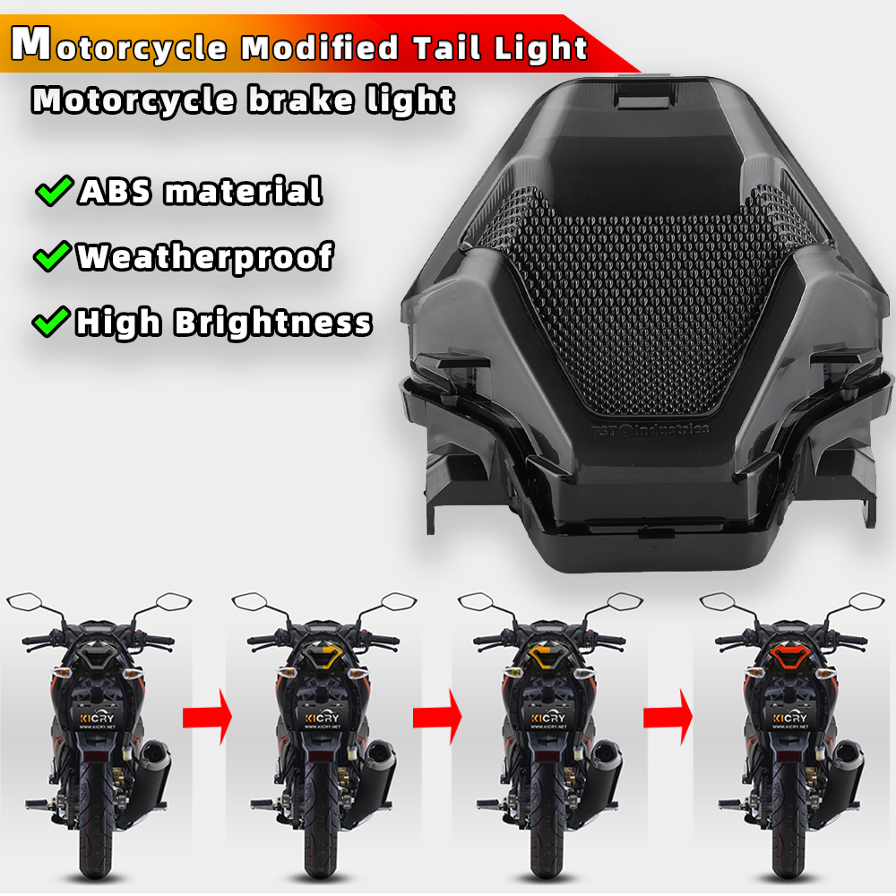 Motorcycle Tail Light Brake Light Tail Lamp With LED For RSNIPER 150 ...