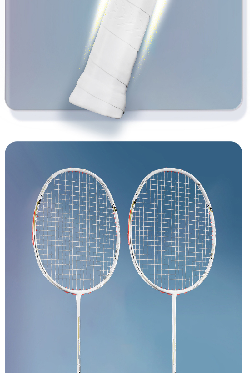 Alpsport Armor 4u 80g Offensive Type Max 32 Lbs Original Design Full ...