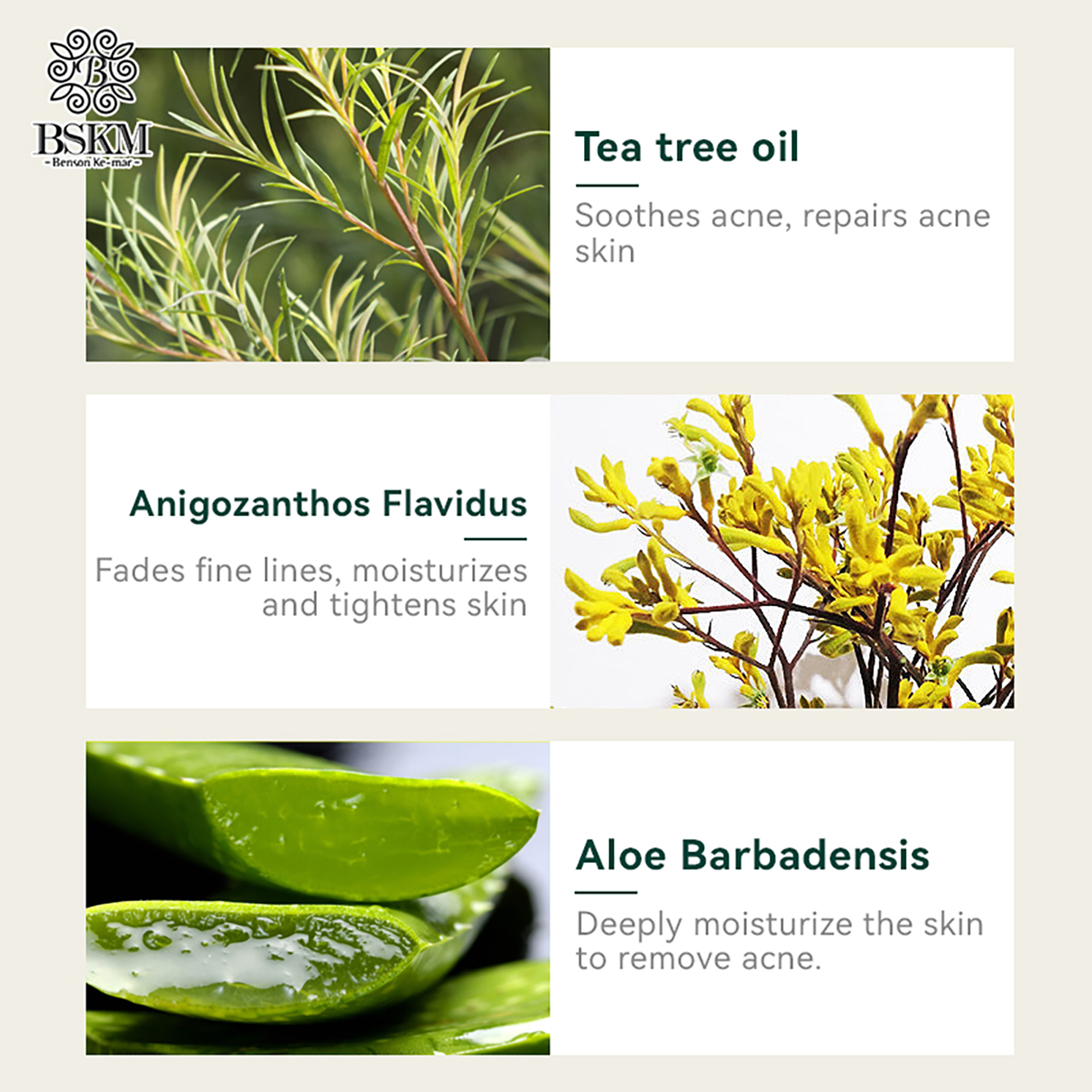 Gallery Detail: Bskm Acne Treatment Serum Tea Tree Oil Facial Essence Skincare