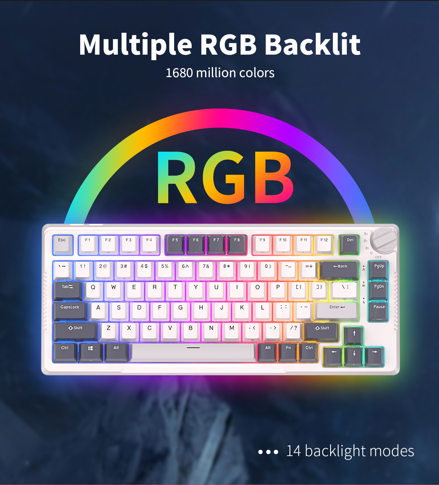 RK H81 RK ROYAL KLUDGE 81 Key Gasket Structure Tri-Mode RGB Wired ...