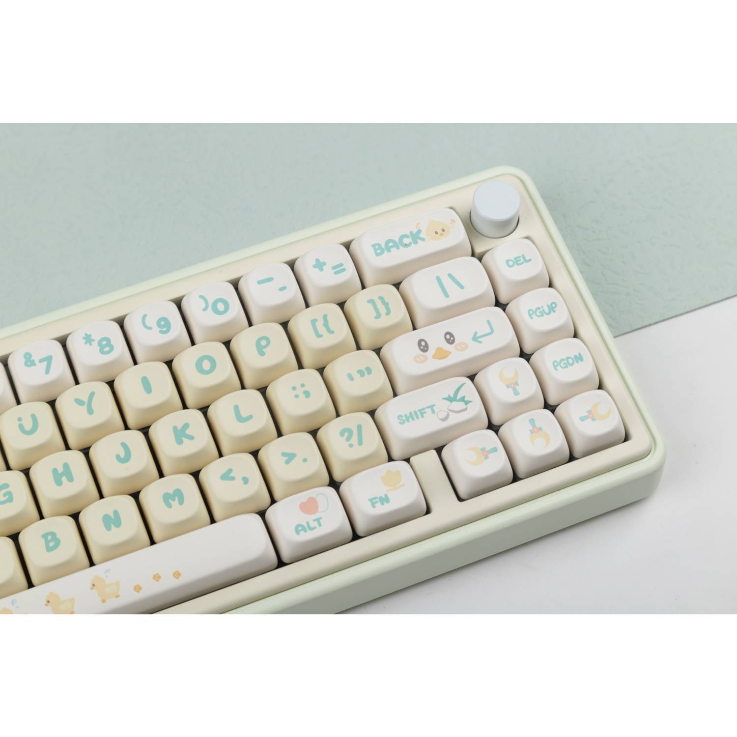 Picnic duck keycaps MOA profile Dye-Sublimation PBT keycap 142keys ...