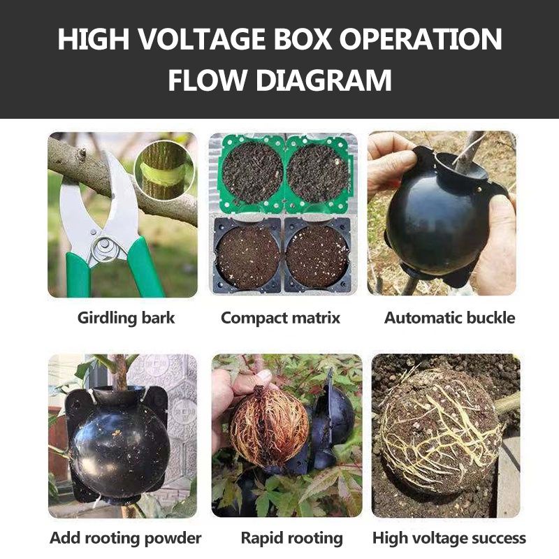 Plant Grafted High Pressure Box Plant Rooting Device High Pressure ...
