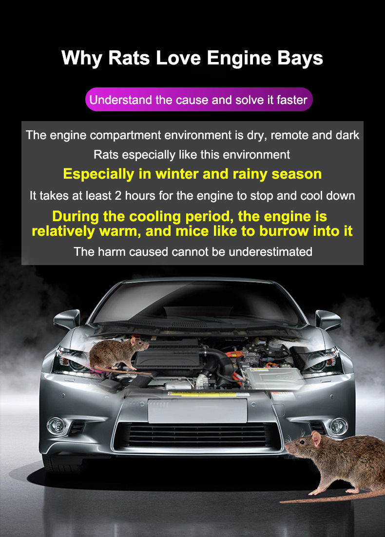 Rat all ran away！CP Rat repellant spray Anti rat spray Rat repellant ...
