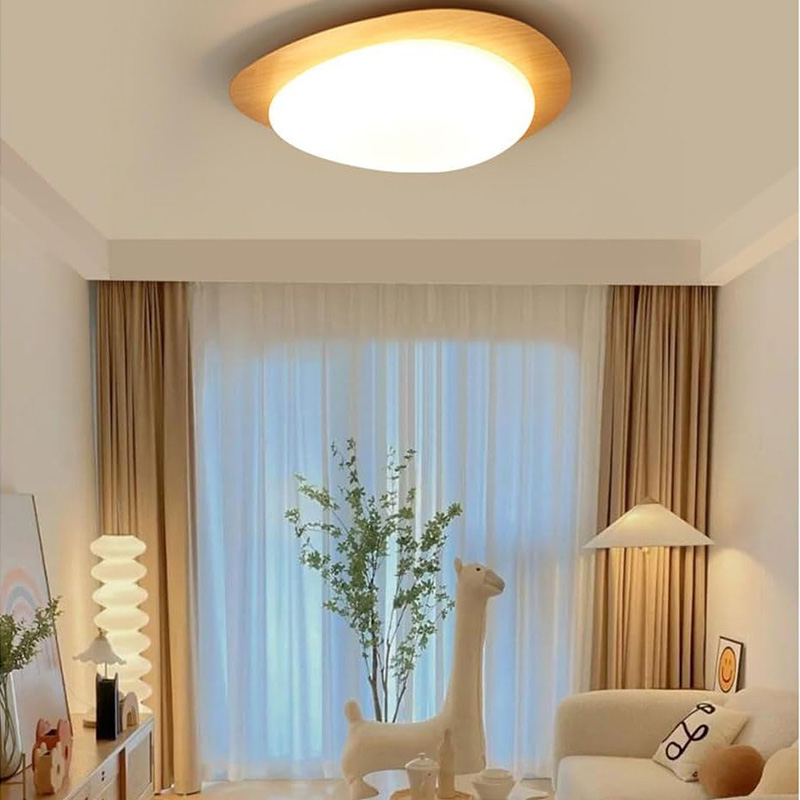 Nordic Bedroom Ceiling Lamp Minimalist Center Light Modern Led Living ...