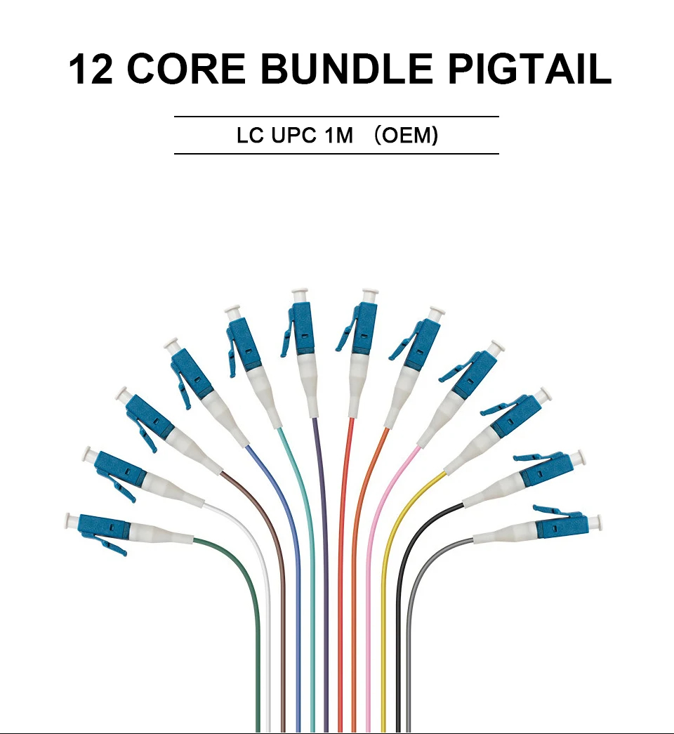 JT-COM Fiber Optic Pigtail LC-UPC (Blue) Single Mode 12 core (9/125) 1M ...