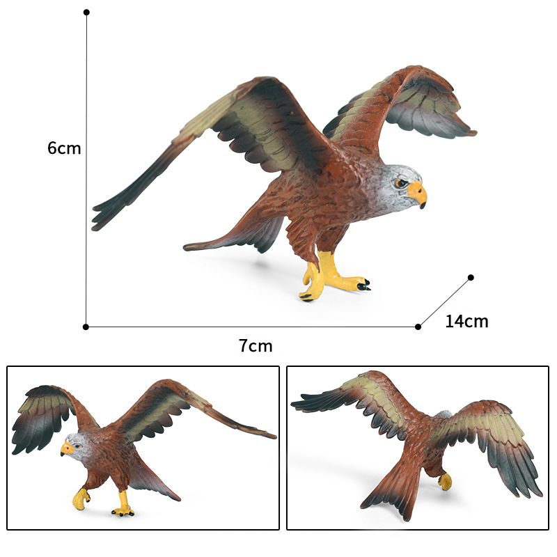 flying bird eagle hawk figure simulation model children science ...