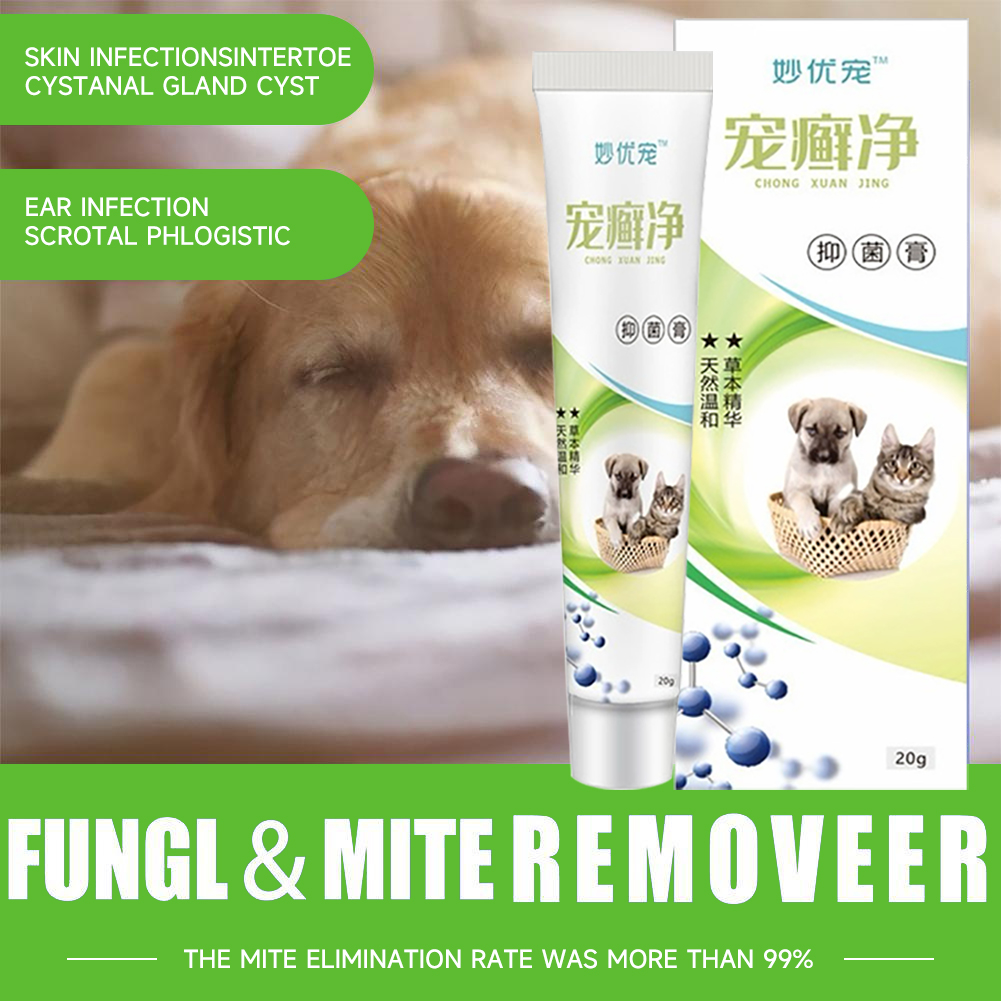 Dog Ointment For Skin Disease Dog Cat Anti Mange AntiFungal & Anti ...