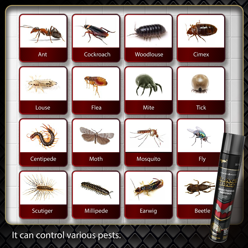 Black Bat Mosquito Insect Killer Insect Killer Insecticide Aerosol ...