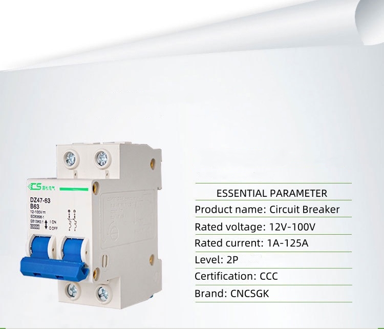 AC DC miniature circuit breaker 2p 10A / 20A / 40A / 63A/125A | Shopee ...