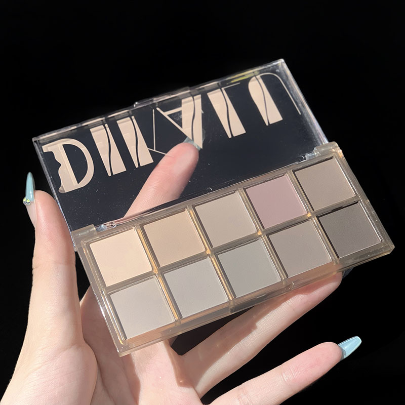 10 Color Eyeshadow Palette Matte Pearlescent Earth Color Shiny Smoky ...