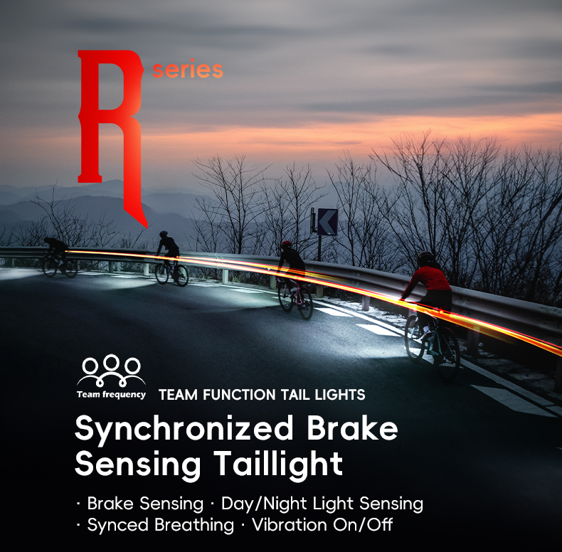 ROCKBROS Brake Taillight Synchronized Sensing Day/Night Sensing ...