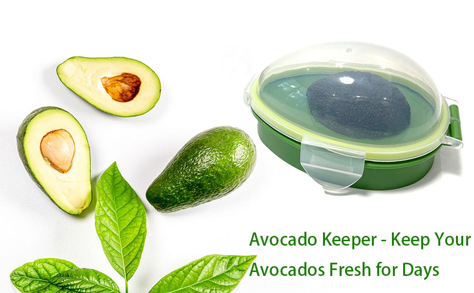 Avocado Saver Holder Food Crisper Storage Box Fruit Keeper Avocado ...