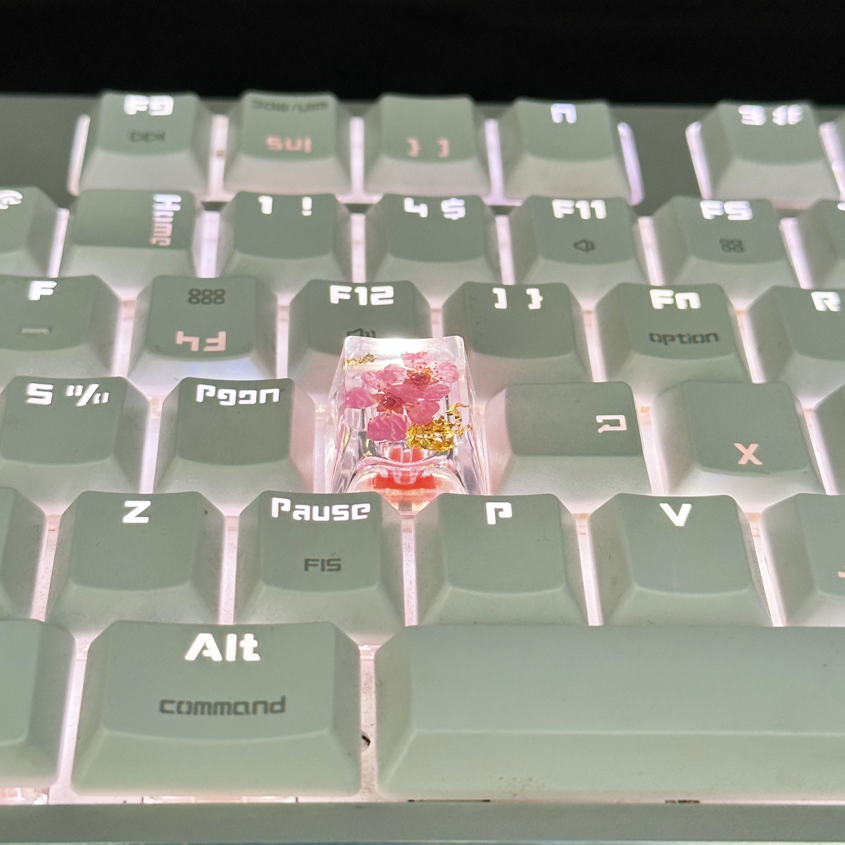 1 Piece Super Transparent Flower Keycap Real Flower Dried Flower ...