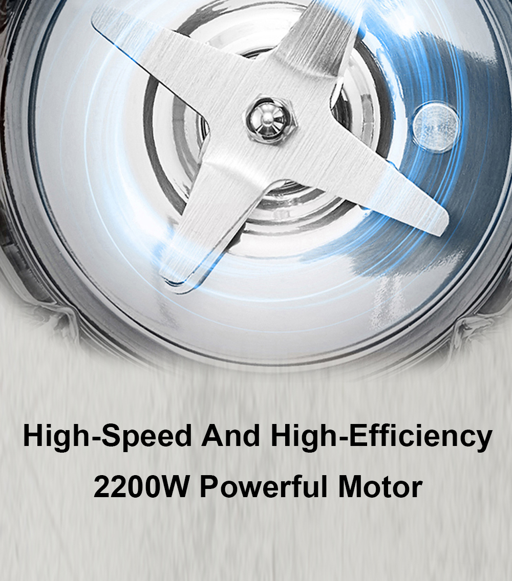 Biolomix 3HP 2200W Hochleistungs-Timer-Mixer für gewerbliche Zwecke Mixer Entsaf